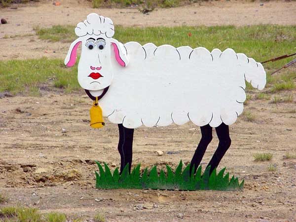 One of the sheep looking mighty nice ...
